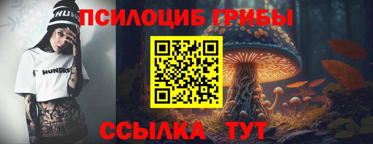 Псилоцибиновые грибы MAGIC MUSHROOMS Нижнеудинск
