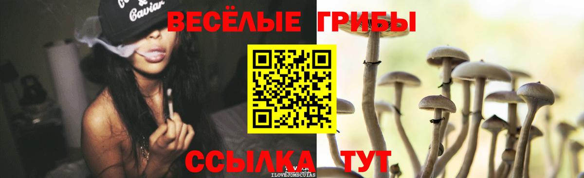 Нижнеудинск  Галлюциногенные грибы мухоморы  Вход с VPN 